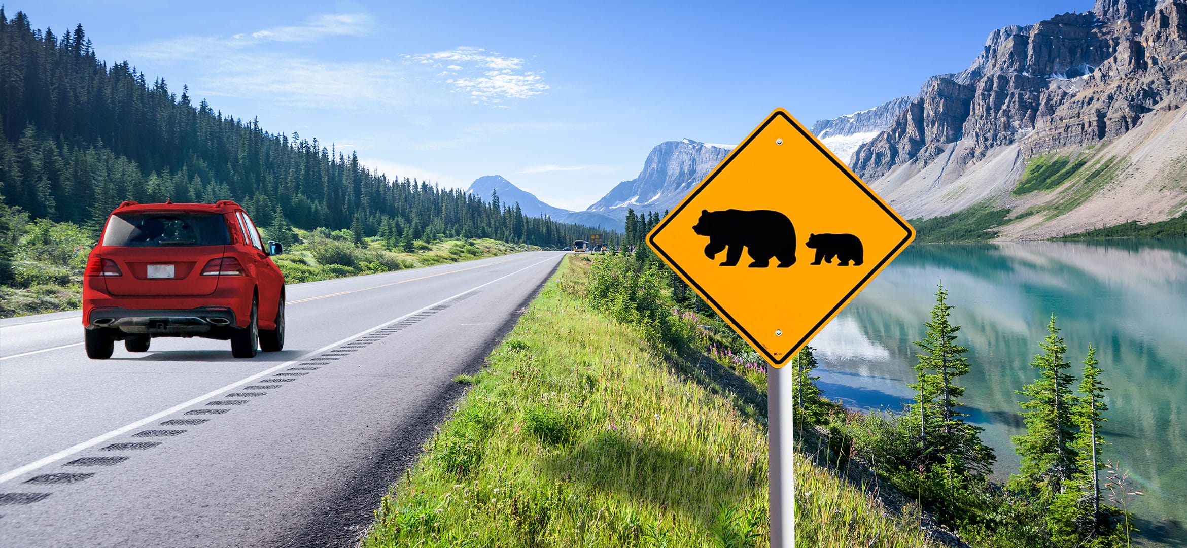 Driving Facts For In Canada belairdirect